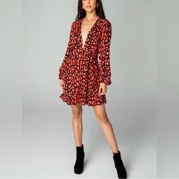 NWT Buddy Love Parker Deep V-Neck Dress - Red Cherry Bomb  Abstract Art To Wear - Picture 3 of 12